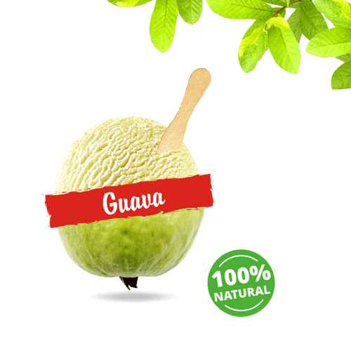 Guava